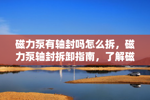 磁力泵有轴封吗怎么拆，磁力泵轴封拆卸指南，了解磁力泵轴封及其拆卸方法