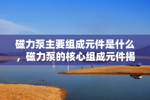 磁力泵主要组成元件是什么，磁力泵的核心组成元件揭秘