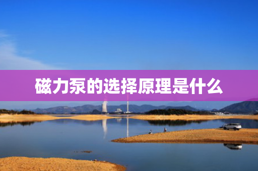 磁力泵的选择原理是什么