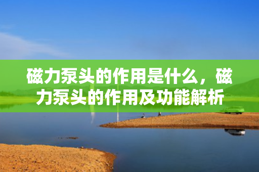 磁力泵头的作用是什么，磁力泵头的作用及功能解析