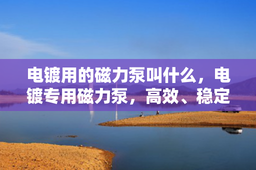 电镀用的磁力泵叫什么，电镀专用磁力泵，高效、稳定的流体输送解决方案