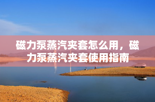 磁力泵蒸汽夹套怎么用，磁力泵蒸汽夹套使用指南