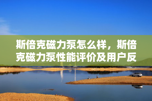 斯倍克磁力泵怎么样，斯倍克磁力泵性能评价及用户反馈