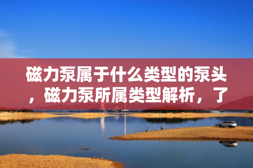 磁力泵属于什么类型的泵头，磁力泵所属类型解析，了解磁力泵是何种泵头