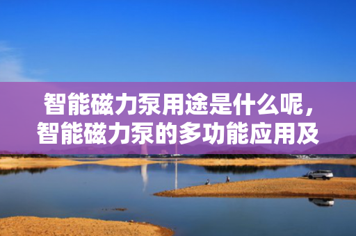 智能磁力泵用途是什么呢，智能磁力泵的多功能应用及其作用解析