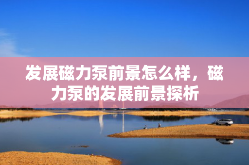 发展磁力泵前景怎么样，磁力泵的发展前景探析