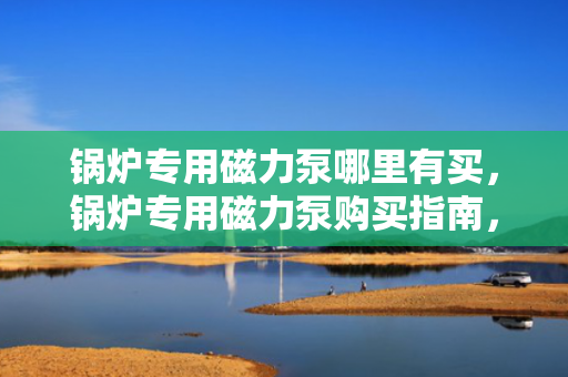 锅炉专用磁力泵哪里有买，锅炉专用磁力泵购买指南，找到最适合您的产品供应商