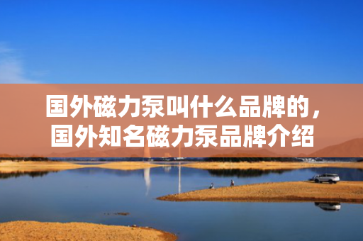 国外磁力泵叫什么品牌的，国外知名磁力泵品牌介绍