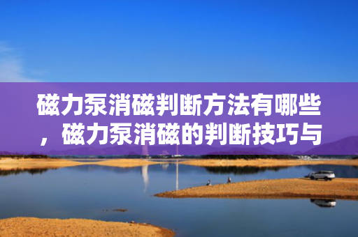 磁力泵消磁判断方法有哪些，磁力泵消磁的判断技巧与方法