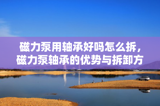 磁力泵用轴承好吗怎么拆，磁力泵轴承的优势与拆卸方法解析