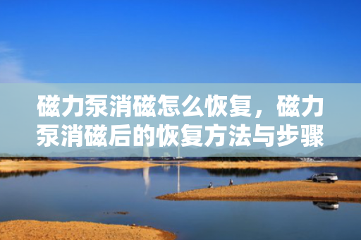 磁力泵消磁怎么恢复，磁力泵消磁后的恢复方法与步骤