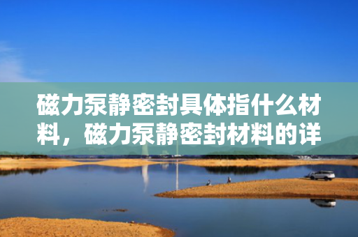 磁力泵静密封具体指什么材料，磁力泵静密封材料的详细解析