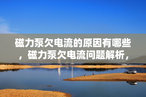 磁力泵欠电流的原因有哪些，磁力泵欠电流问题解析，可能的原因探讨