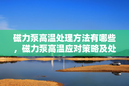 磁力泵高温处理方法有哪些，磁力泵高温应对策略及处理方法