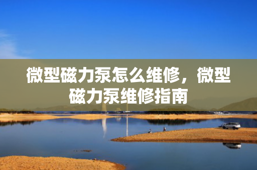 微型磁力泵怎么维修，微型磁力泵维修指南