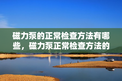 磁力泵的正常检查方法有哪些，磁力泵正常检查方法的全面指南