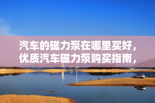 汽车的磁力泵在哪里买好，优质汽车磁力泵购买指南，推荐购买地点及选购建议