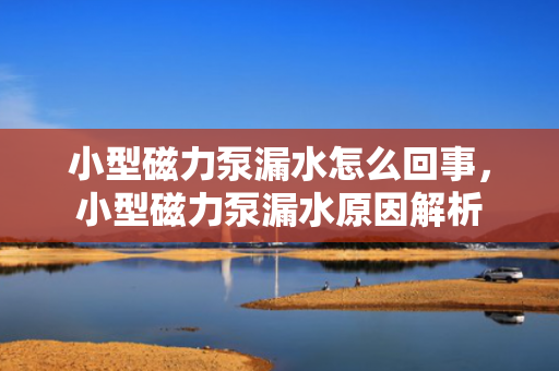 小型磁力泵漏水怎么回事，小型磁力泵漏水原因解析