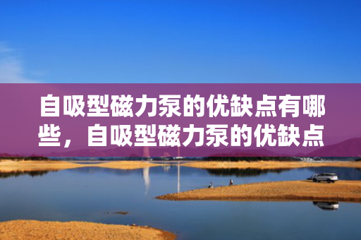 自吸型磁力泵的优缺点有哪些，自吸型磁力泵的优缺点全面解析