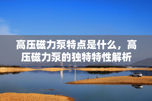 高压磁力泵特点是什么，高压磁力泵的独特特性解析