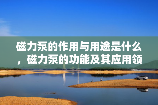磁力泵的作用与用途是什么，磁力泵的功能及其应用领域解析