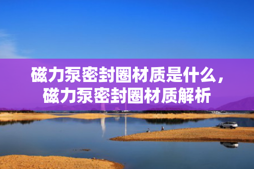 磁力泵密封圈材质是什么，磁力泵密封圈材质解析