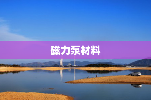 磁力泵材料