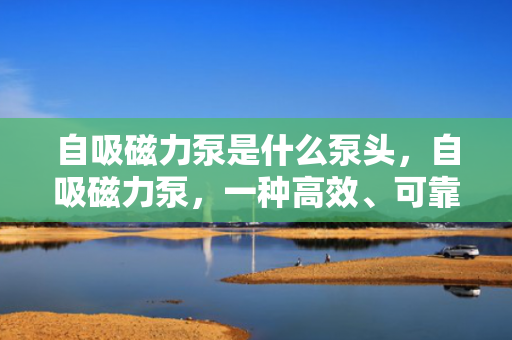 自吸磁力泵是什么泵头，自吸磁力泵，一种高效、可靠的泵头选择