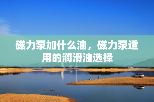 磁力泵加什么油，磁力泵适用的润滑油选择