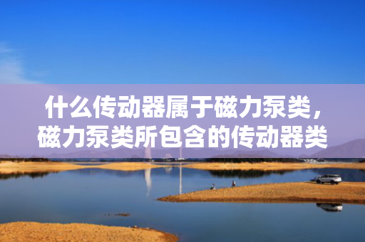 什么传动器属于磁力泵类，磁力泵类所包含的传动器类型