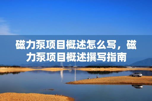 磁力泵项目概述怎么写，磁力泵项目概述撰写指南