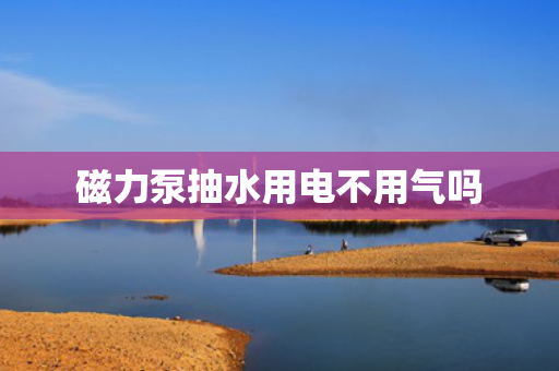 磁力泵抽水用电不用气吗