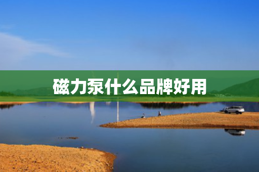 磁力泵什么品牌好用