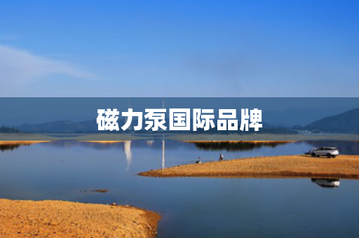磁力泵国际品牌