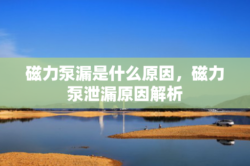 磁力泵漏是什么原因，磁力泵泄漏原因解析