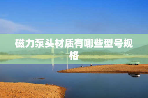 磁力泵头材质有哪些型号规格