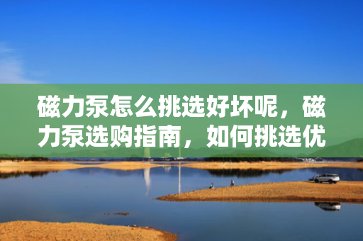 磁力泵怎么挑选好坏呢，磁力泵选购指南，如何挑选优质磁力泵？