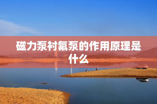 磁力泵衬氟泵的作用原理是什么