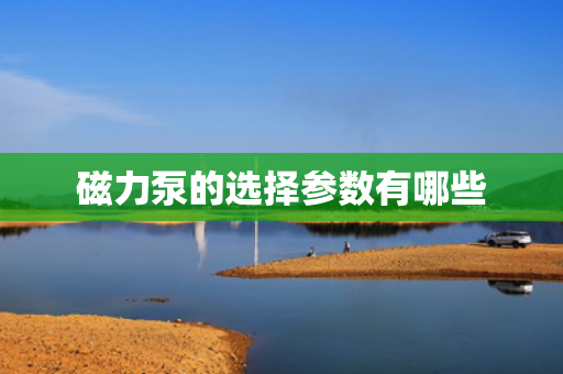 磁力泵的选择参数有哪些