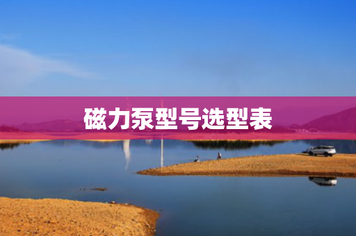 磁力泵型号选型表