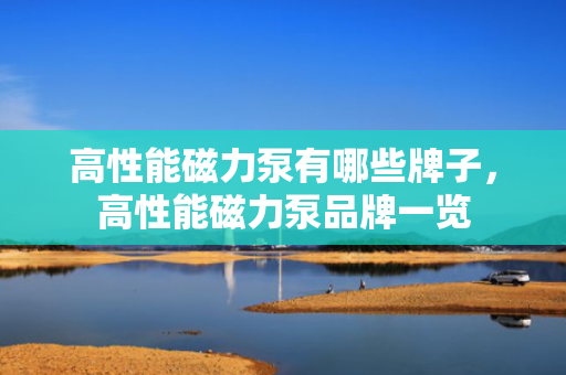 高性能磁力泵有哪些牌子，高性能磁力泵品牌一览