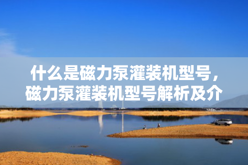 什么是磁力泵灌装机型号，磁力泵灌装机型号解析及介绍