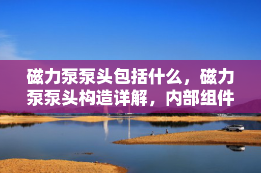 磁力泵泵头包括什么，磁力泵泵头构造详解，内部组件与功能概述