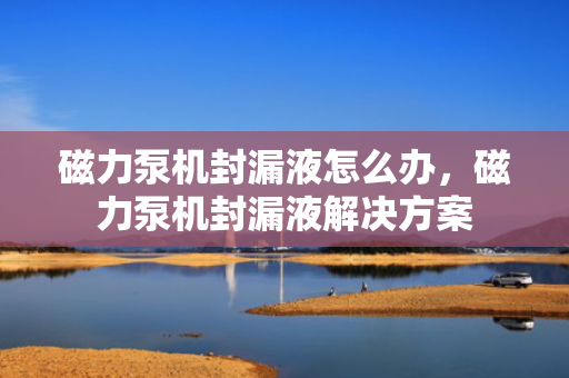磁力泵机封漏液怎么办，磁力泵机封漏液解决方案