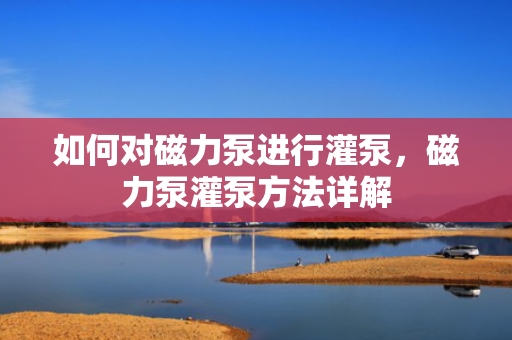 如何对磁力泵进行灌泵，磁力泵灌泵方法详解