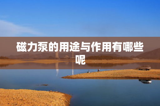 磁力泵的用途与作用有哪些呢