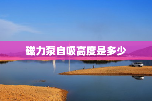 磁力泵自吸高度是多少