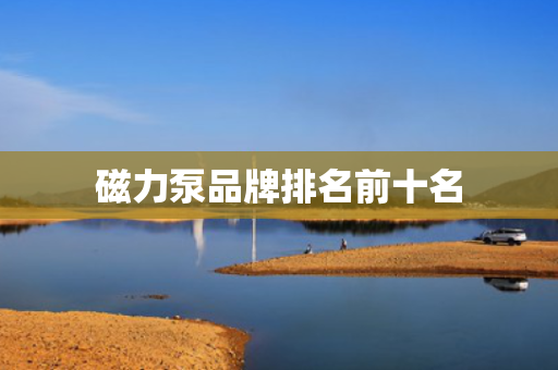 磁力泵品牌排名前十名