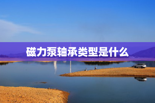 磁力泵轴承类型是什么