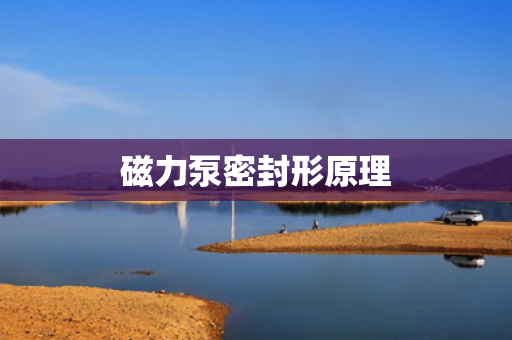 磁力泵密封形原理